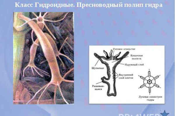 Кракен заработок