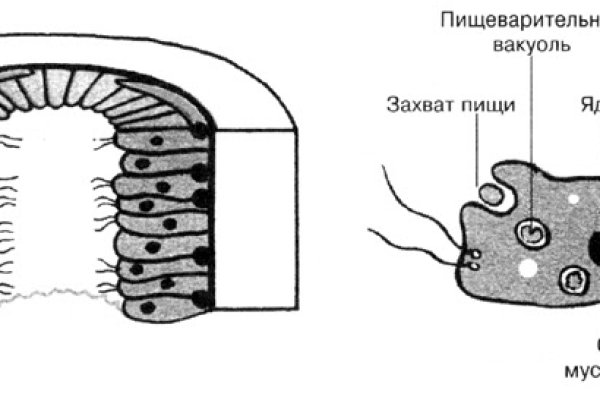 Kraken 2025 ссылка