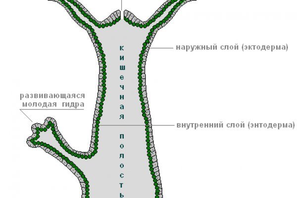 Магазин кракен дарк