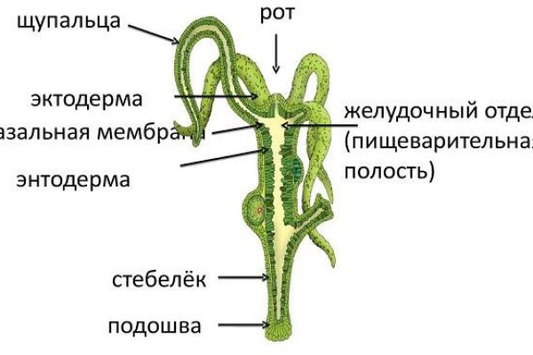 Кракен маркет даркнет тор